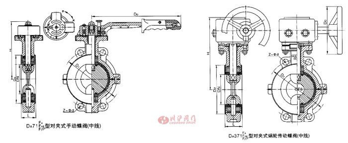 D71FܷԼе