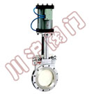 Pneumatic gate valve