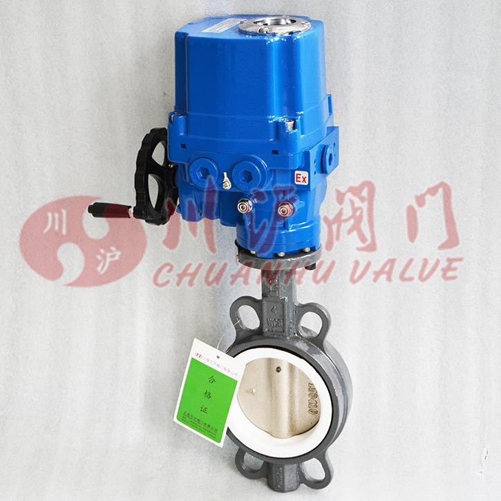 �����͵綯����