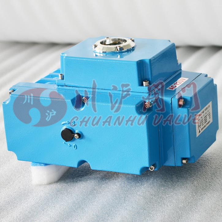 CH�綯ִ����